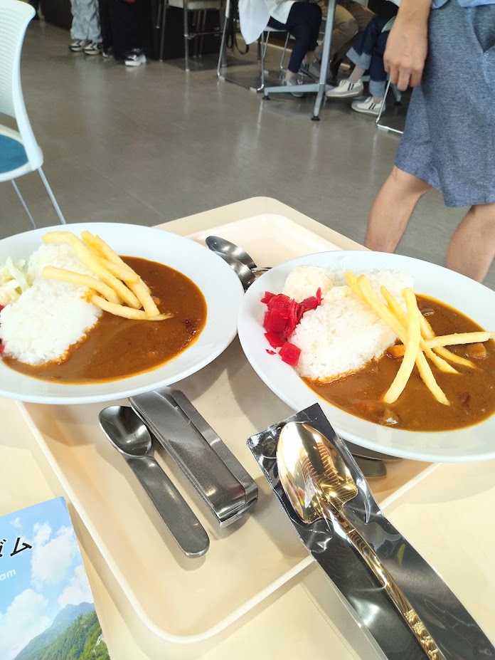 黒部ダム観光で食べた名物の黒部ダムカレー